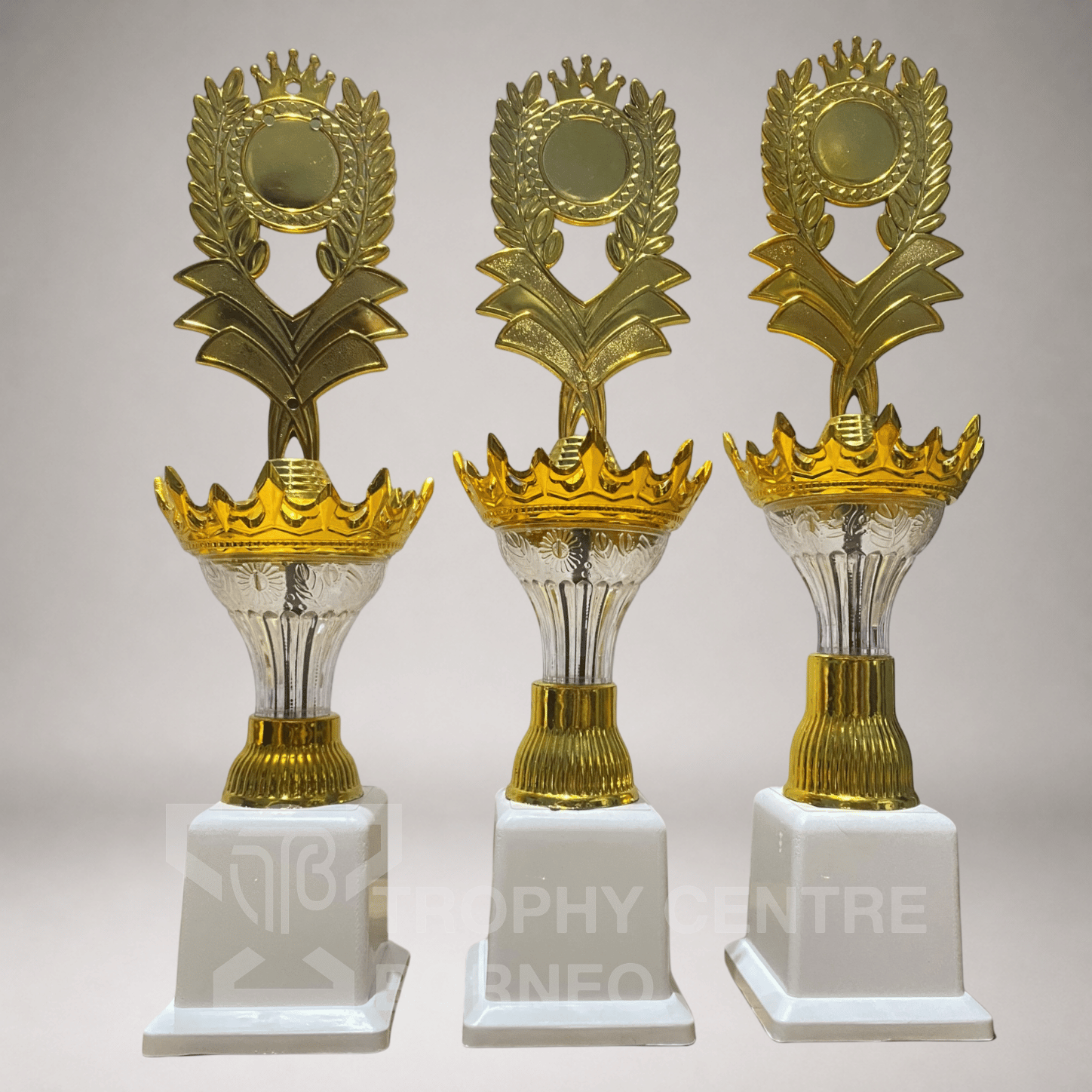 Trophy Series 86
